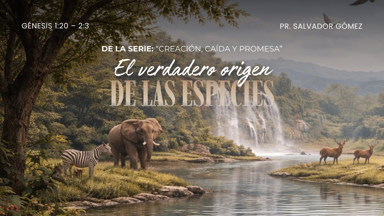 Portada del video El verdadero origen de las especies | Génesis 1: 10-23 | Ps. Salvador Gómez